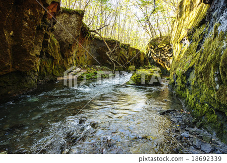 Tarumae Gallo Tarumae Gallo 18692339