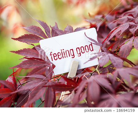 The Word „feeling good" in a fan-maple tree 18694159