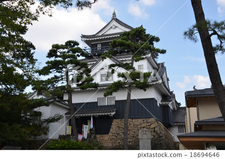 岡崎城堡模擬城堡 18694646