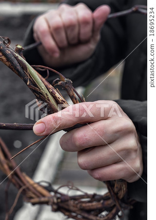 Weaving wreath of vines Weaving wreath of vines 18695234