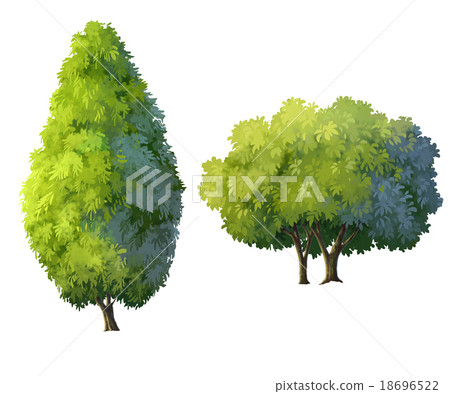 trees trees 18696522