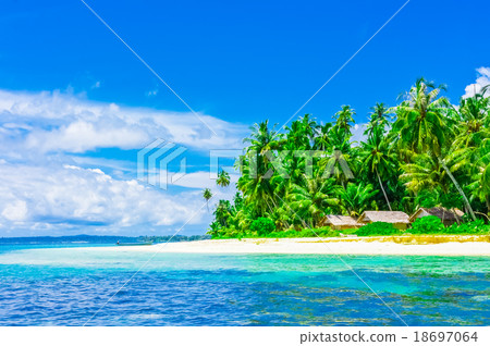 Tropical island landscape Tropical island landscape 18697064