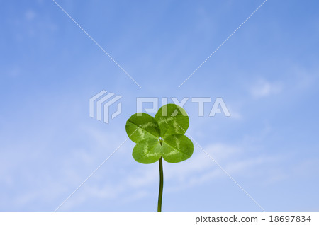 Lucky four-leaf clover in the blue sky Lucky four-leaf clover in the blue sky 18697834