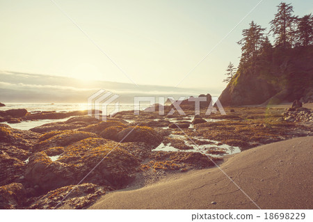 Olympik coast 18698229