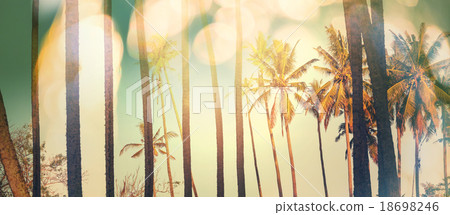 Tropical beach 18698246