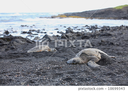 Punaru黑沙灘 18699343