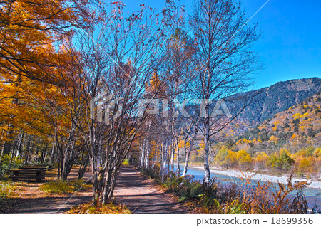 Promenade along the Azusa River in Kamikochi in autumn Promenade along the Azusa River in Kamikochi in autumn 18699356
