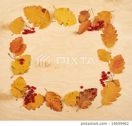 frame from autumn leaves collection and berry frame from autumn leaves collection and berry 18699962