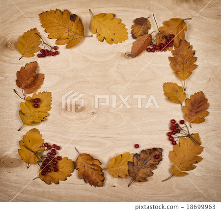frame from autumn leaves collection and berry frame from autumn leaves collection and berry 18699963