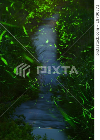 Firefly banquet 18700573