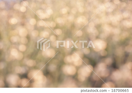 Abstract bokeh and blurred background Abstract bokeh and blurred background 18700665