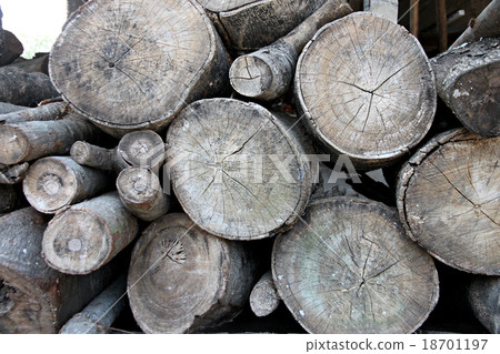 Timber of stacked. Timber of stacked. 18701197