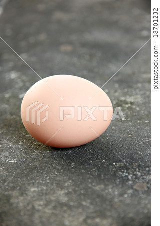 Eggs laid on the floor. Eggs laid on the floor. 18701232