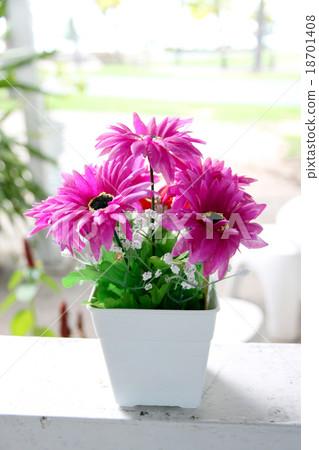Purple flowers in the white potted. 18701408