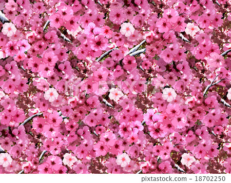 flower spring day 18702250