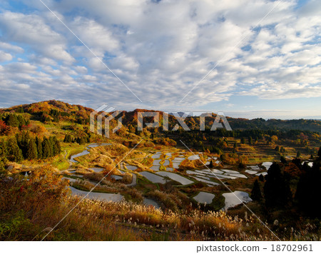 Autumn rice terraces 18702961