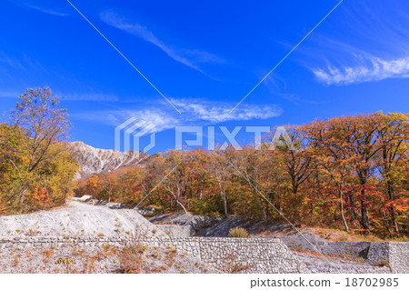 Oyama Fall's Minnosawa 18702985