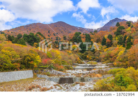 Oyama Nanko Kawahara秋葉 Oyama Nanko Kawahara秋葉 18702994