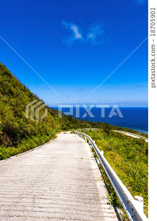 Iheyajima失去了神線 18705901