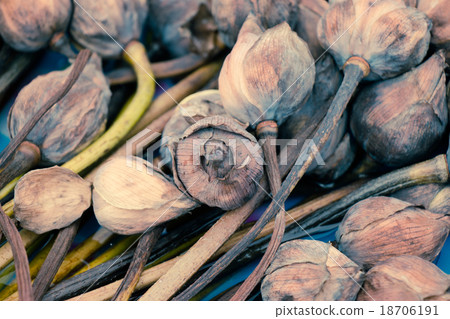 Withered Water lily or lotus Flowers pray Buddha Withered Water lily or lotus Flowers pray Buddha 18706191