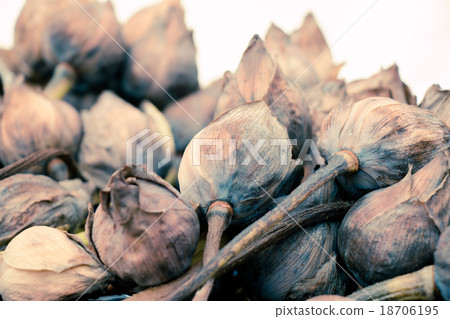 Withered Water lily or lotus Flowers pray Buddha Withered Water lily or lotus Flowers pray Buddha 18706195