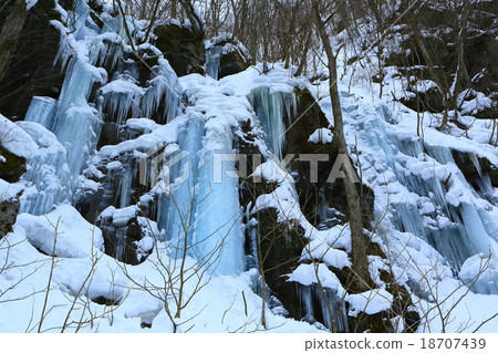Aomori prefecture Towada Oirase Stream ice column of Ma Gate Rock Aomori prefecture Towada Oirase Stream ice column of Ma Gate Rock 18707439