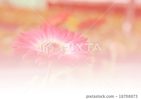 Background color flower style soft background Background color flower style soft background 18708873