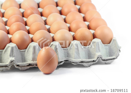 Fresh eggs in paper tray on white backgroud 18709511