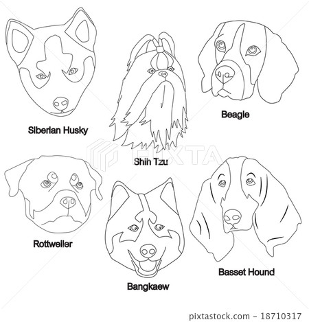 Black White Dog Face Set Black White Dog Face Set 18710317