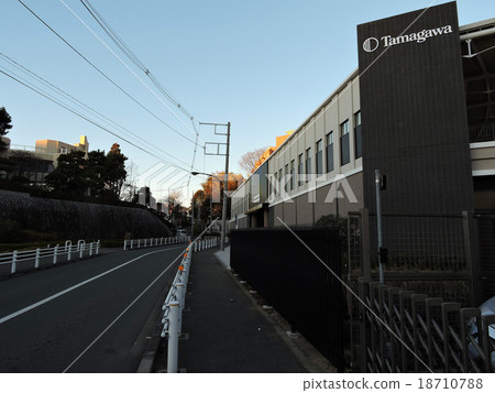 Tamagawa University 18710788