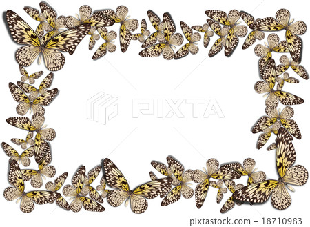 beautiful butterfly background beautiful butterfly background 18710983