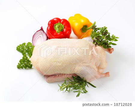 Raw duck 18712028