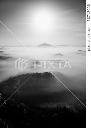 Fairy misty night  in heavy  fog landscape 18712096