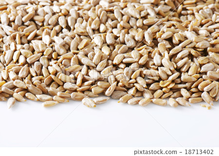 Raw sunflower seed 18713402
