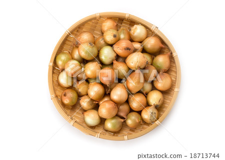 Pekorosu Pekorosu 18713744