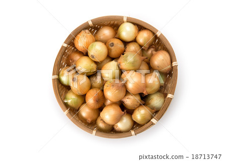 Pekorosu Pekorosu 18713747