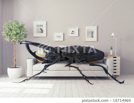 the beetle in the room the beetle in the room 18714960