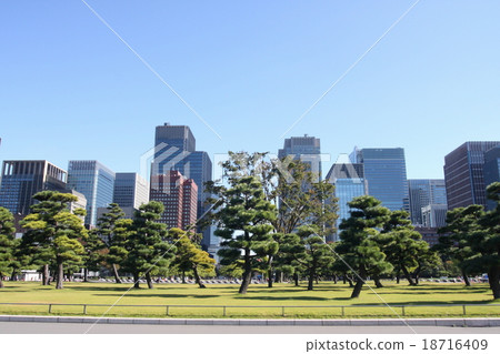 比爾和松樹(皇宮)1 比爾和松樹(皇宮)1 18716409