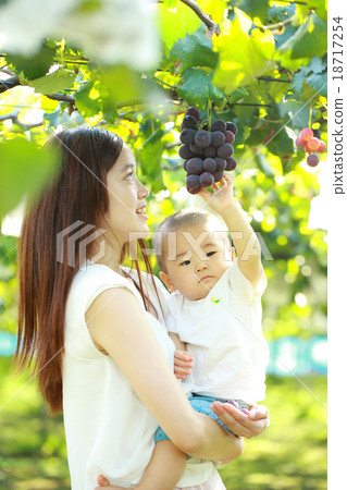 Children enjoying mum and grape hunting 18717254