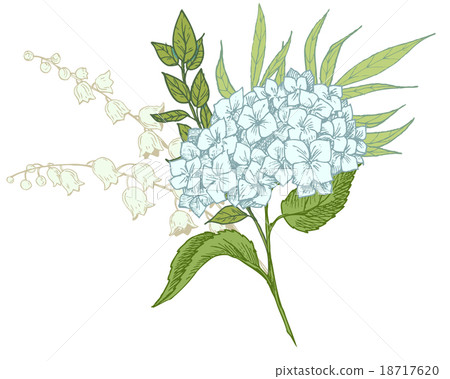 Hand-drawn floral bouquet Hand-drawn floral bouquet 18717620