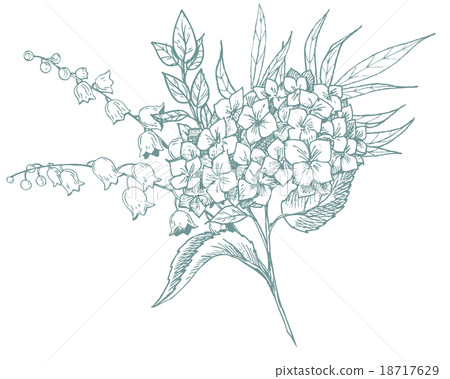 Hand-drawn floral bouquet Hand-drawn floral bouquet 18717629