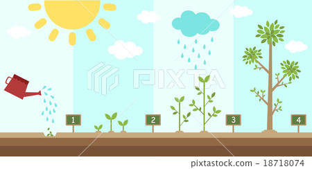 flat background of planting tree process flat background of planting tree process 18718074
