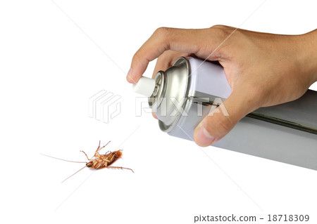 Cockroach spray with spray can isolated over white 18718309