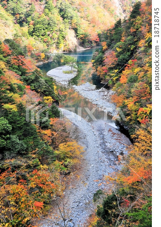 The autumn leaves of the dimple gorge The autumn leaves of the dimple gorge 18718745