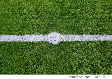 Straight white chalk line marking on grass Straight white chalk line marking on grass 18719198