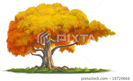 Big tree 18720668