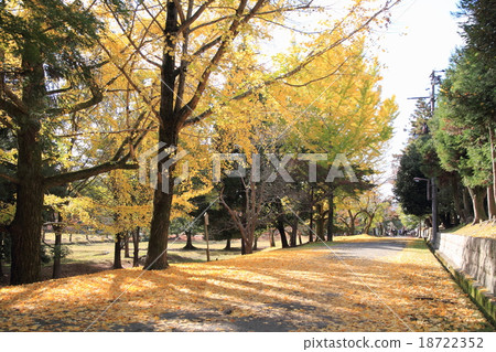 Fall of Nara Park Fall of Nara Park 18722352