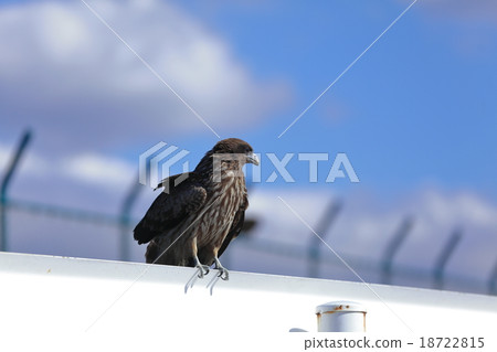 Tobi stuck at the guard rail 18722815