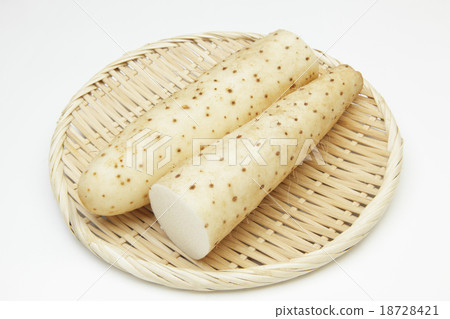 中國山藥 中國山藥 18728421