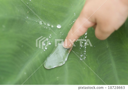 Children touching water drops Children touching water drops 18728663